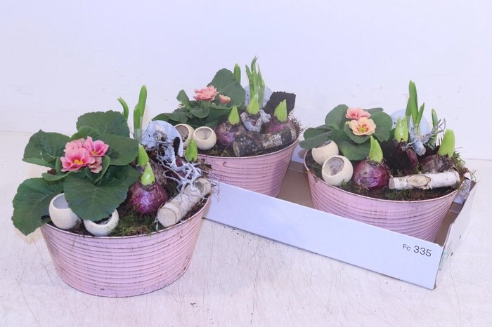 <h4>ARR TUINPLANTEN</h4>