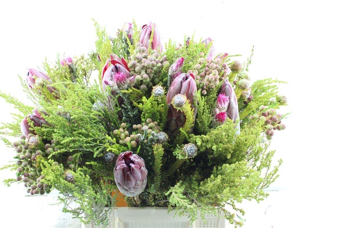 <h4>Protea Boeket</h4>