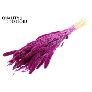 Dried Flower Mix bunch Bleached Lilac