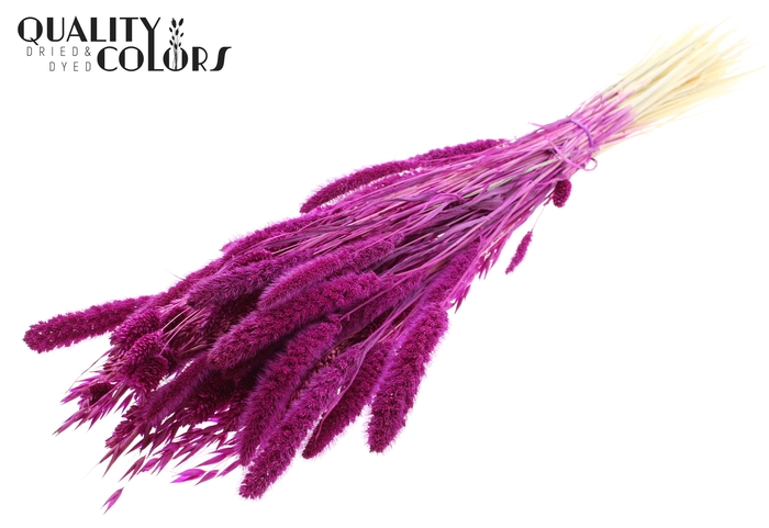 <h4>Dried Flower Mix bunch Bleached Lilac</h4>