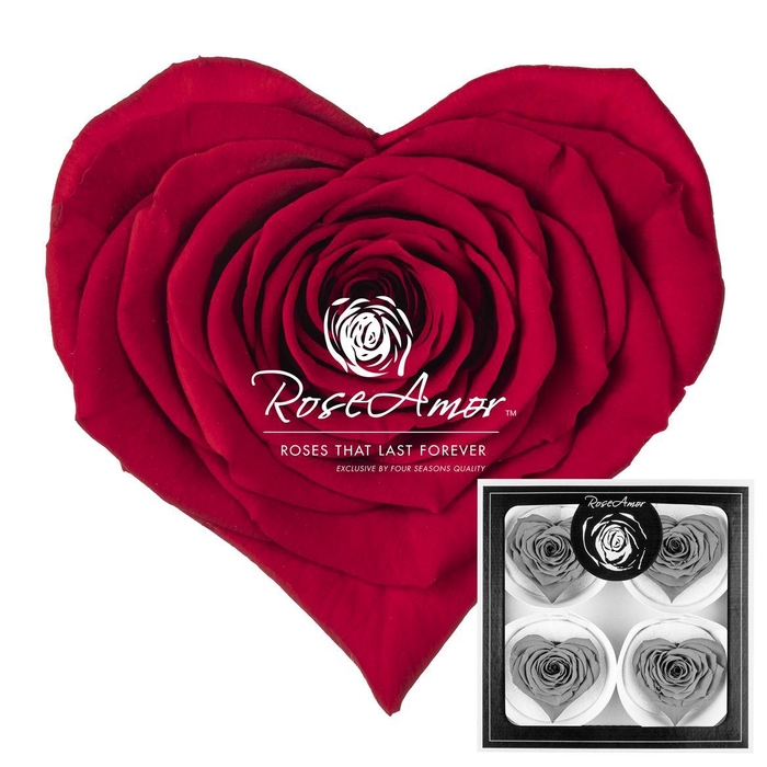 <h4>Corazon Bella Red02</h4>
