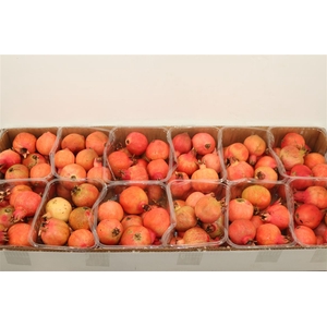 Sier Granaatappel Red X10 P Box