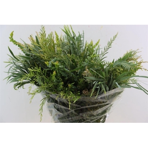 Mimosa Mixed P Bunch