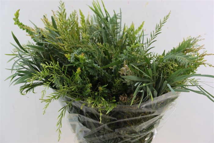 <h4>Mimosa Mixed P Bunch</h4>