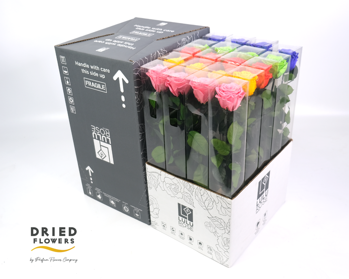 <h4>Rosa Preserved Stem 50cm Rainbow Mix</h4>