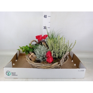 Arr.   Tuinplanten L%