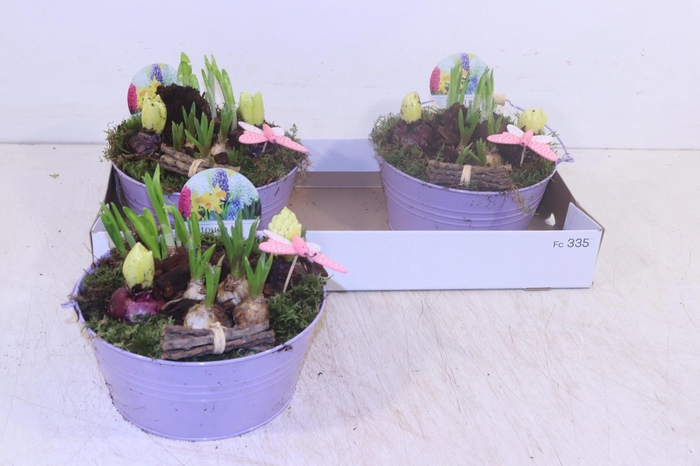 <h4>ARR BOL KNOLGEWAS</h4>