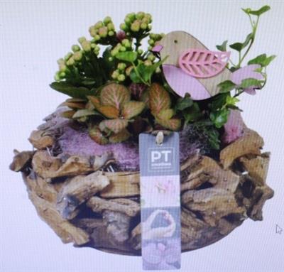 <h4>9117 ROZE HOUT ROND IND</h4>