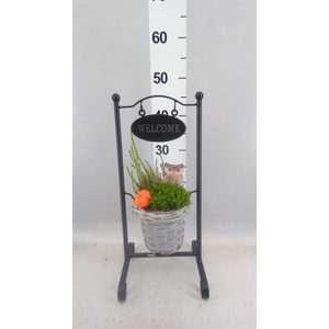 Arr.   Tuinplanten L%