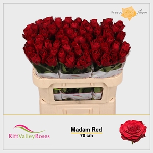 R GR MADAM RED