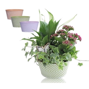 Collectie Wave arrangement in zinken pot 18 cm