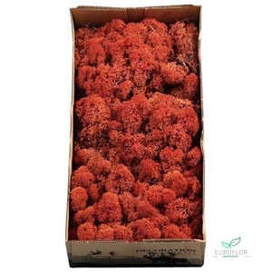 IJSLANDS MOS SIENA 500GR