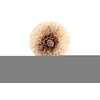 Dahlia Cream Pink FL440196CPK