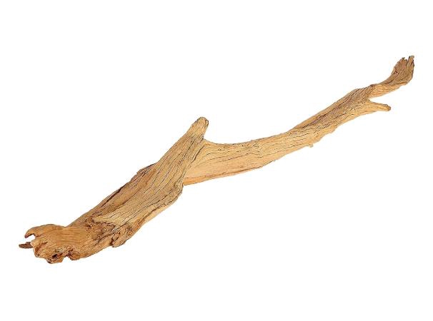 <h4>Branch Ghostwood Extra L160</h4>