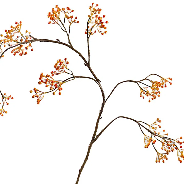 Corallo Berry Spray Orange LV330083ORA
