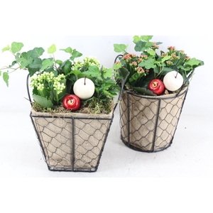 arr2 TD - Jute/gaasmand mix - rood/wit