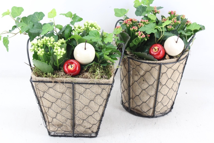 <h4>arr2 TD - Jute/gaasmand mix - rood/wit</h4>