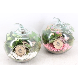 arr2 PL - Glazen appel x4 - roze/wit