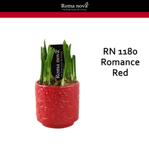 Narcis Rom 1180 Romance Red