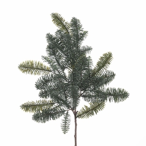 AF Nobilis L75cm Green