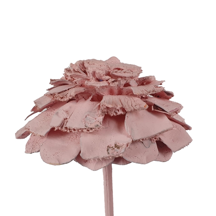 Pine cone cut 5-7cm on stem Frosted Light Pink