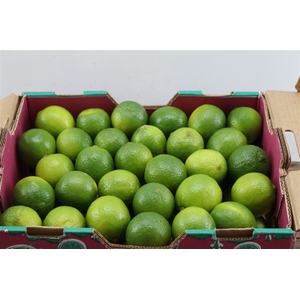 Sier Limes P Box