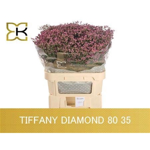 LIM SIN TIFFANY DIAMOND 80/35GR