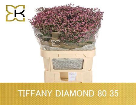 <h4>LIM SIN TIFFANY DIAMOND 80/35GR</h4>