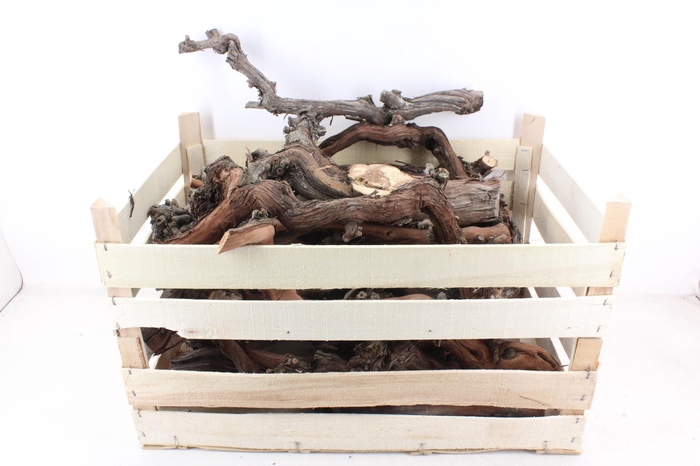 <h4>arr3 GB - Druivenhout 50cm</h4>