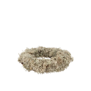 Nature Wreath Dry White Moss 20cm