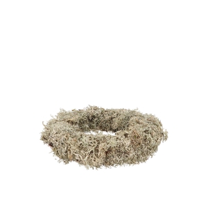 Nature Wreath Dry White Moss 20cm Nm