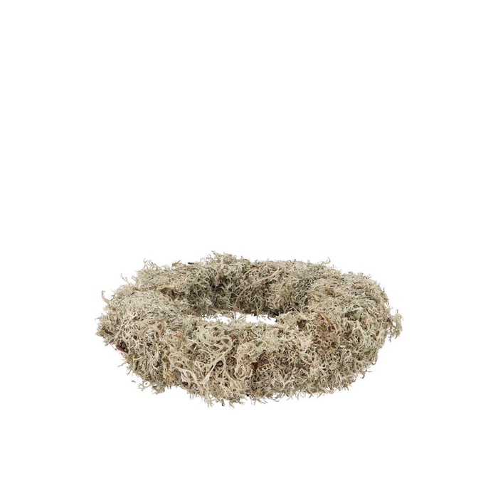 <h4>Nature Wreath Dry White Moss 20cm</h4>