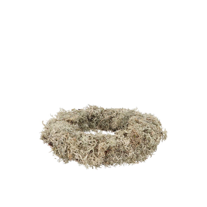 <h4>Nature Wreath Dry White Moss 20cm Nm</h4>