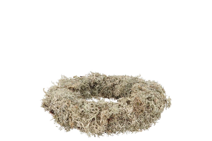 Nature Wreath Dry White Moss 20cm Nm