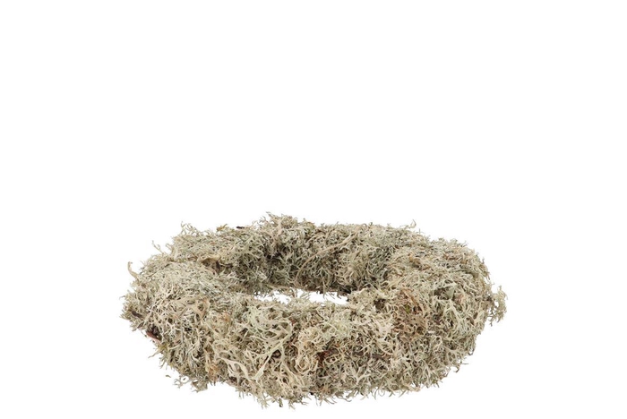 Nature Wreath Dry White Moss 20cm