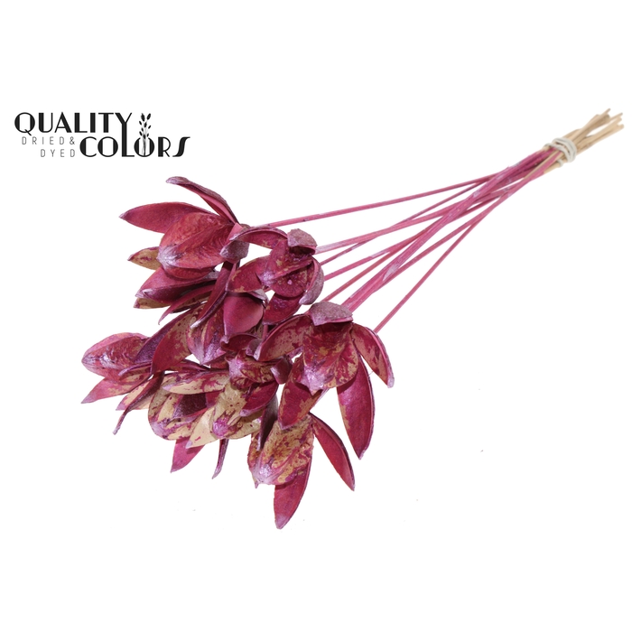 <h4>Wild Lilly on stem Metallic Pink</h4>
