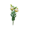 LISIANTHUS ECHO CHAMPAGNE 070 CM MIN 500 GRAMAS CHAMPAGNE/CREME