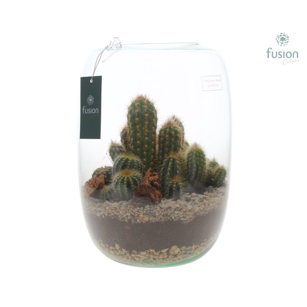 <h4>Green Bottle Isabella X-Large met Cactussen</h4>