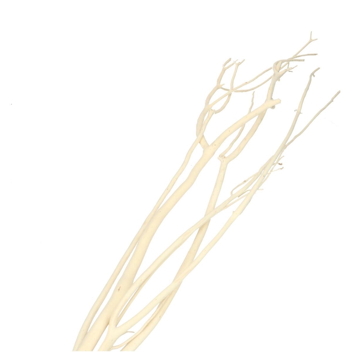 <h4>Dried articles Mitsumata flock 115cm x3</h4>