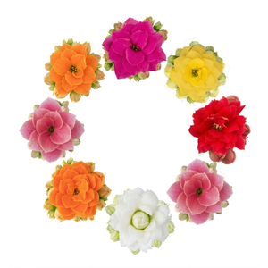 KALANCHOE BLOSSFELDIANA 'MINI' Calandiva 6 cm gemengd met hoes