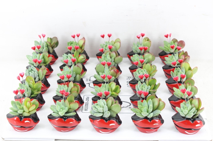 Arr3 Ad - Ker. Hot Lips X25