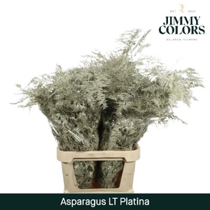 Aspa Lang Getopt Platina