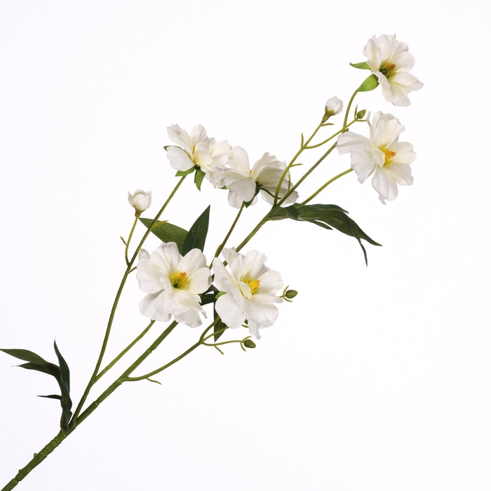 <h4>Ranunculus Butterfly Spray Cream FL440264CRM</h4>