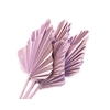 Palm Spear Lilac Wash