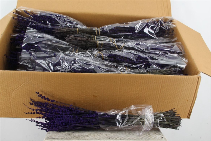 <h4>Lavendel Preserved</h4>