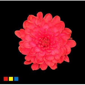 Chr T Altaj Fireball