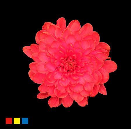 <h4>Chr T Altaj Fireball</h4>