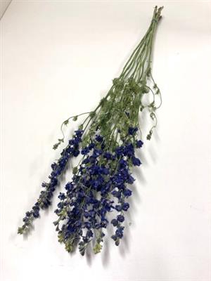 <h4>DROOG DELPHINIUM BLAUW</h4>