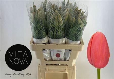 <h4>Tu Fra En Swarovski</h4>