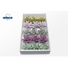 Echeveria Glitter Mix Lovely Christmas Wincx-10cm